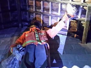 Begini Aksi PMK Pacitan Evakuasi Sarang Tawon di Rumah Warga