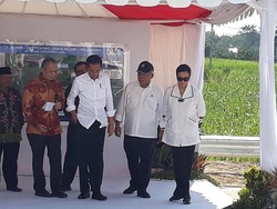 Panjang Tol yang Dibuka Jokowi Kini Sudah 398 Km