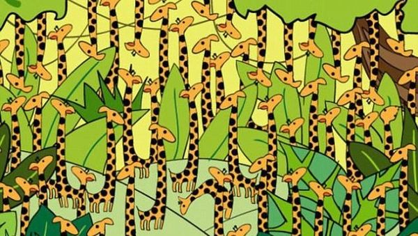 Relaks! Uji Kecerdasanmu dengan Menjawab Tebakan Berikut