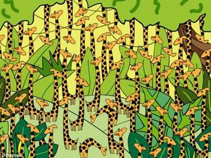 Relaks! Uji Kecerdasanmu dengan Menjawab Tebakan Berikut