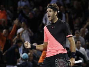 Del Potro Singkirkan Raonic, Lolos ke Semifinal Del Potro Singkirkan Raonic, Lolos ke Semifinal