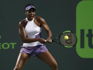 Venus Kandas di Perempatfinal Venus Kandas di Perempatfinal