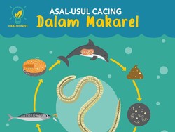 Ikan Makarel Bercacing Diduga Berasal dari Laut China