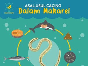 Ikan Makarel Bercacing Diduga Berasal dari Laut China Ikan Makarel Bercacing Diduga Berasal dari Laut China