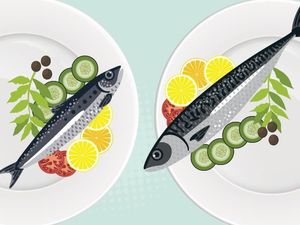 RI Juga Impor Tepung Ikan, untuk Apa?