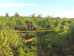 Dor! Polisi Tembak Mati 1 Pembunuh Sopir Go-Car di Sumsel