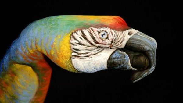 Potret Tangan Ajaib Disulap Jadi Beragam Hewan