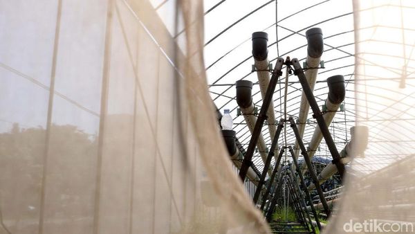Greenhouse Rusun Marunda Tak Terawat