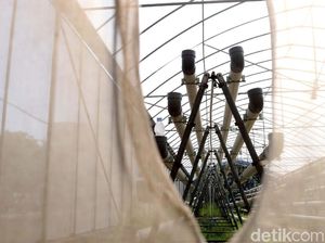 Greenhouse Rusun Marunda Tak Terawat