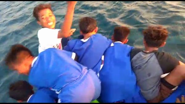 Foto: Penampakan Lumba-lumba Berenang Lincah di Kepulauan Seribu