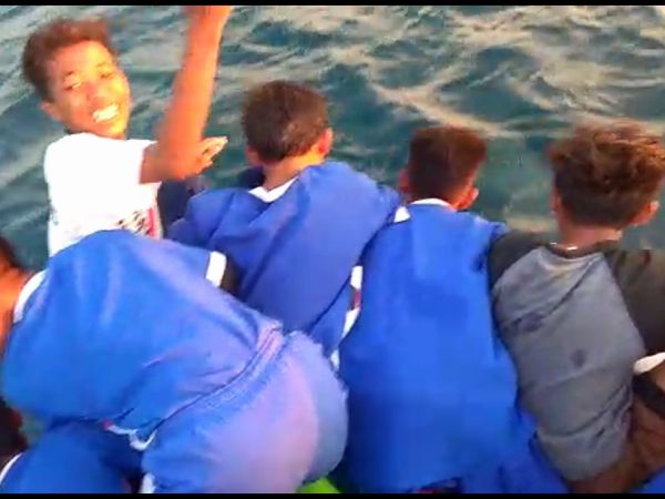Foto: Penampakan Lumba-lumba Berenang Lincah di Kepulauan Seribu