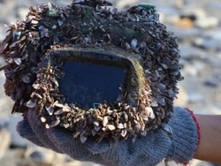 2 Tahun Hilang di Laut, Kamera Ini Ditemukan dan Masih Berfungsi