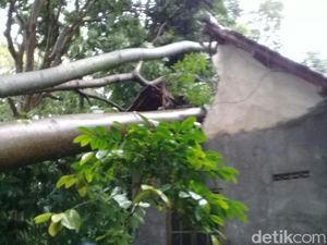 Angin Kencang di Blitar, Tiang Listrik Roboh Membelah Rumah Warga