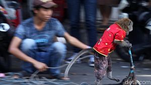 Atraksi Topeng Monyet di Jakarta Kembali Terlihat