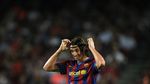 31 Trofi, 8 Klub, 1 Ibrahimovic