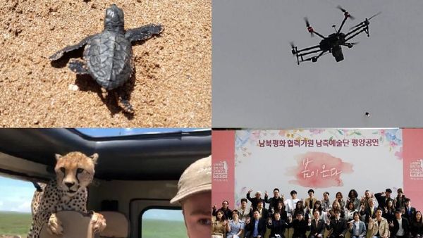 Riuh Dunia dalam Gambar: Cheetah Masuk Mobil, Artis K-pop ke Korut