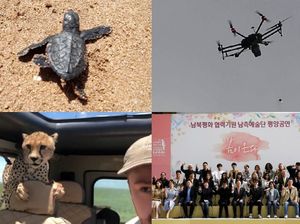 Riuh Dunia dalam Gambar: Cheetah Masuk Mobil, Artis K-pop ke Korut Riuh Dunia dalam Gambar: Cheetah Masuk Mobil, Artis K-pop ke Korut