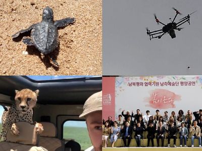 Riuh Dunia dalam Gambar: Cheetah Masuk Mobil, Artis K-pop ke Korut