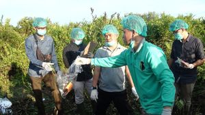 Fakta Pembunuhan Sopir Go-Car yang Dibantai Mahasiswa Unsri dkk