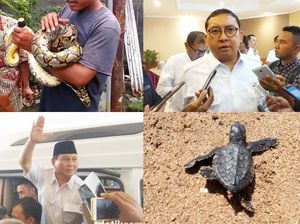 Berita Heboh: Kritik Prabowo Hingga Napi Gantung Diri