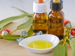 5 Manfaat Minyak Tawon, Mengatasi Masalah Otot Hingga Sembuhkan Luka