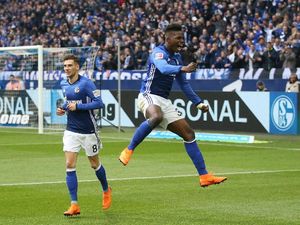 Schalke Tunda Pesta Juara Bayern