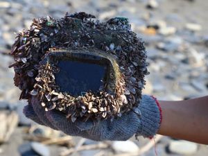 2 Tahun Hilang di Laut, Kamera Ini Masih Berfungsi 2 Tahun Hilang di Laut, Kamera Ini Masih Berfungsi