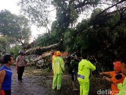 Hujan Disertai Angin di Blitar: 1 Orang Tewas, 40 Rumah Rusak