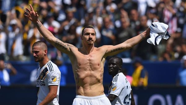 Zlatan Ibrahimovic, Singa Swedia yang Kini Mengaum di Amerika