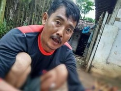 Keji! Viral Kucing Hutan Dibunuh dan Dimakan Warga