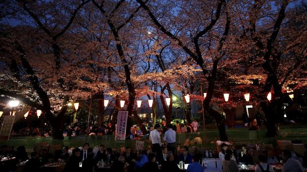 Kegiatan Wisata Wajib Coba di Jepang