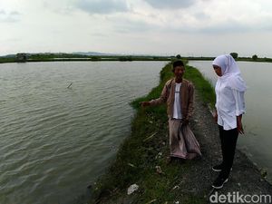 Petani Garam Mengeluh Kebijakan Pemerintah, Khofifah Telepon Menteri