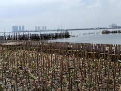 Pengambilan Sampah Teluk Jakarta Disetop, Kapal Patroli Siaga