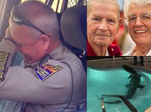 Riuh Dunia dalam Gambar: Polantas Pensiun, Aligator di Kolam Renang Riuh Dunia dalam Gambar: Polantas Pensiun, Aligator di Kolam Renang