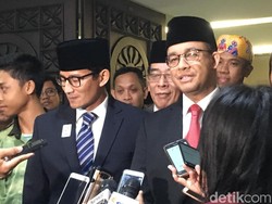 Cegah Banjir, Anies akan Buat Serapan Biopori dan Naturalisasi Sungai