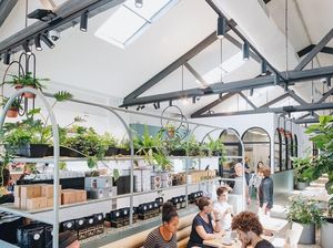 Asyiknya Ngopi dan Makan Waffle di Kafe Sejuk Bertema Kebun Asyiknya Ngopi dan Makan Waffle di Kafe Sejuk Bertema Kebun