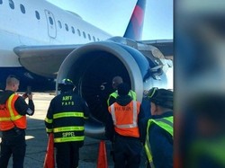 Mesin Pesawat Mati di Udara Ditabrak Burung, Gawat!