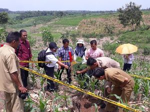 Arkeolog Sangiran Ikut Teliti Lokasi Temuan Fosil di Ngawi