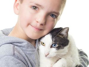 Alasan Mengharukan Seorang Ibu Mengadopsi Seekor Kucing