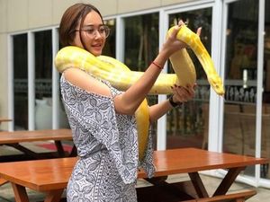 Aura Kasih Mirip Boneka, Main Ular hingga Mesra dengan Morgan Oey