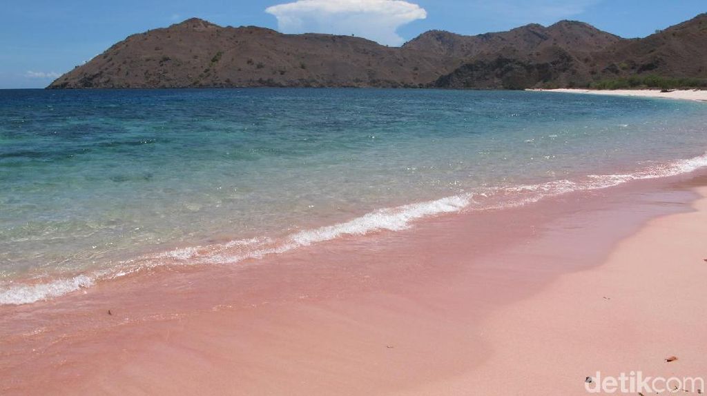 Kapan Kamu ke Pantai yang Pasirnya Pink Ini?