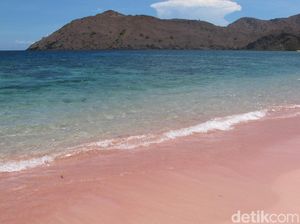 Kapan Kamu ke Pantai yang Pasirnya Pink Ini?