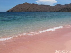 Banyak Dikunjungi Tokoh Terkenal, Mau Diapakan Lagi Labuan Bajo?