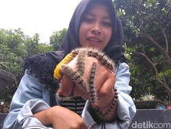 Mahasiswi Ini Hobi Main Ulat Bulu, Lihat Nih Aksi Ekstremnya