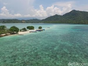 11 Destinasi Wisata di Lampung, Way Kambas, Teluk Kiluan, dll