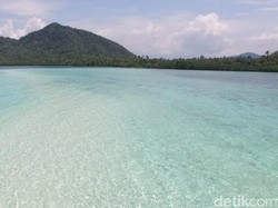 Celebrity on Vacation: Indahnya Bawah Laut Pulau Pahawang Kecil