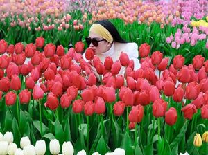 Syahrini yang Kegirangan di Kebun Bunga Tulip Belanda