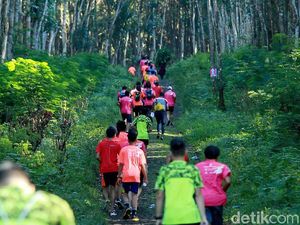 Ijen Green Run, Keseruan Berlari di Alam Berudara Segar Ijen Green Run, Keseruan Berlari di Alam Berudara Segar