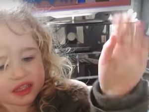 Kisah Seekor Lebah Berterima Kasih pada Balita yang Menolongnya