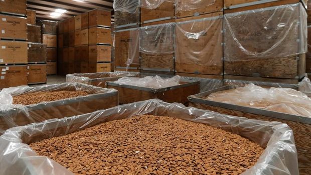 Almonds are seen in shipping containers in a warehouse at Capay Canyon Ranch in Esparto, California, U.S. April 2, 2018. 